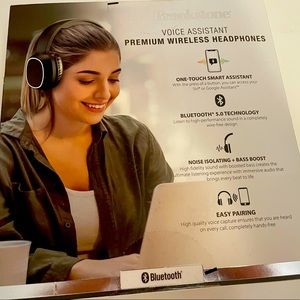 Headphones Brookstone